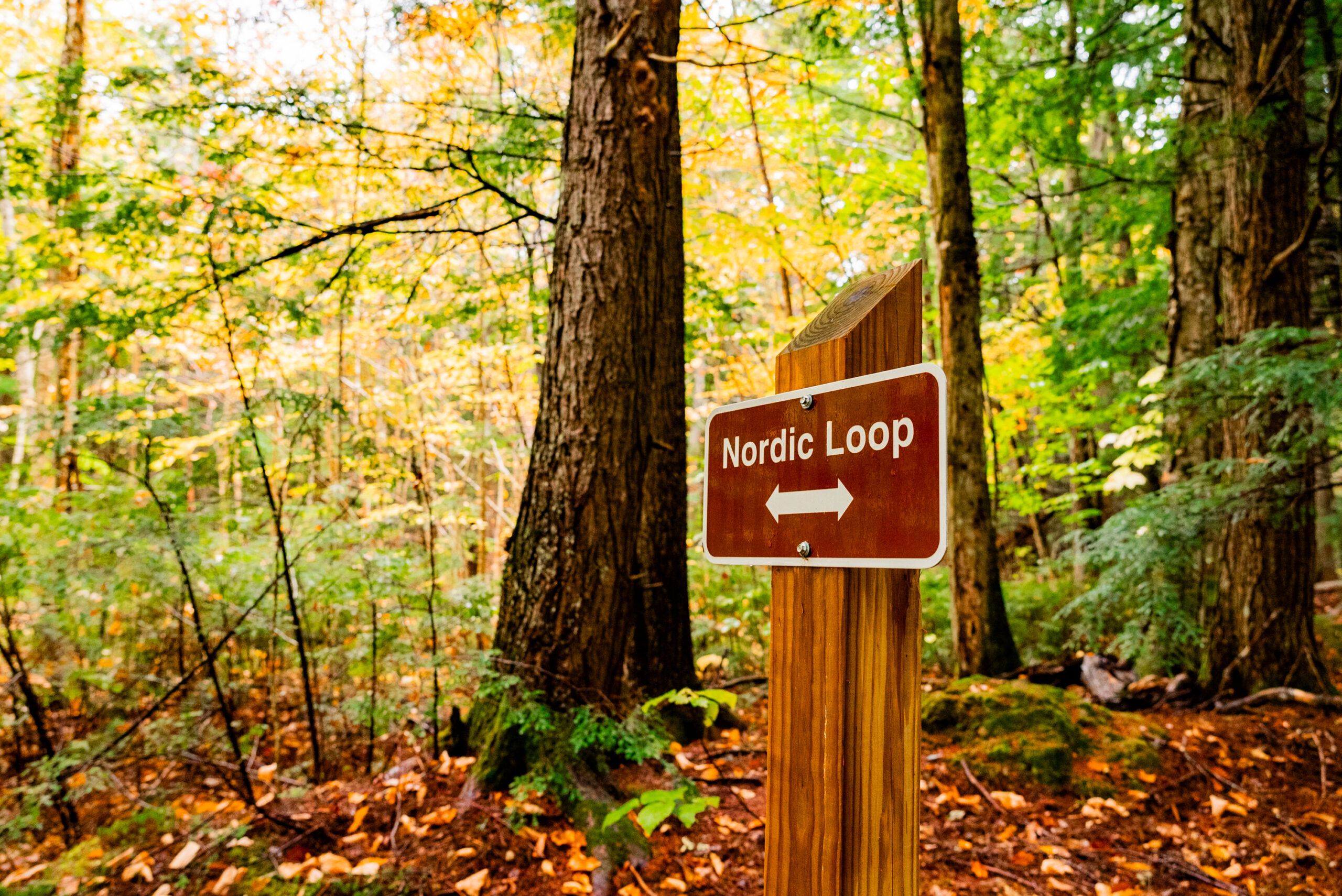 Nordic Village Loop Trail during fall