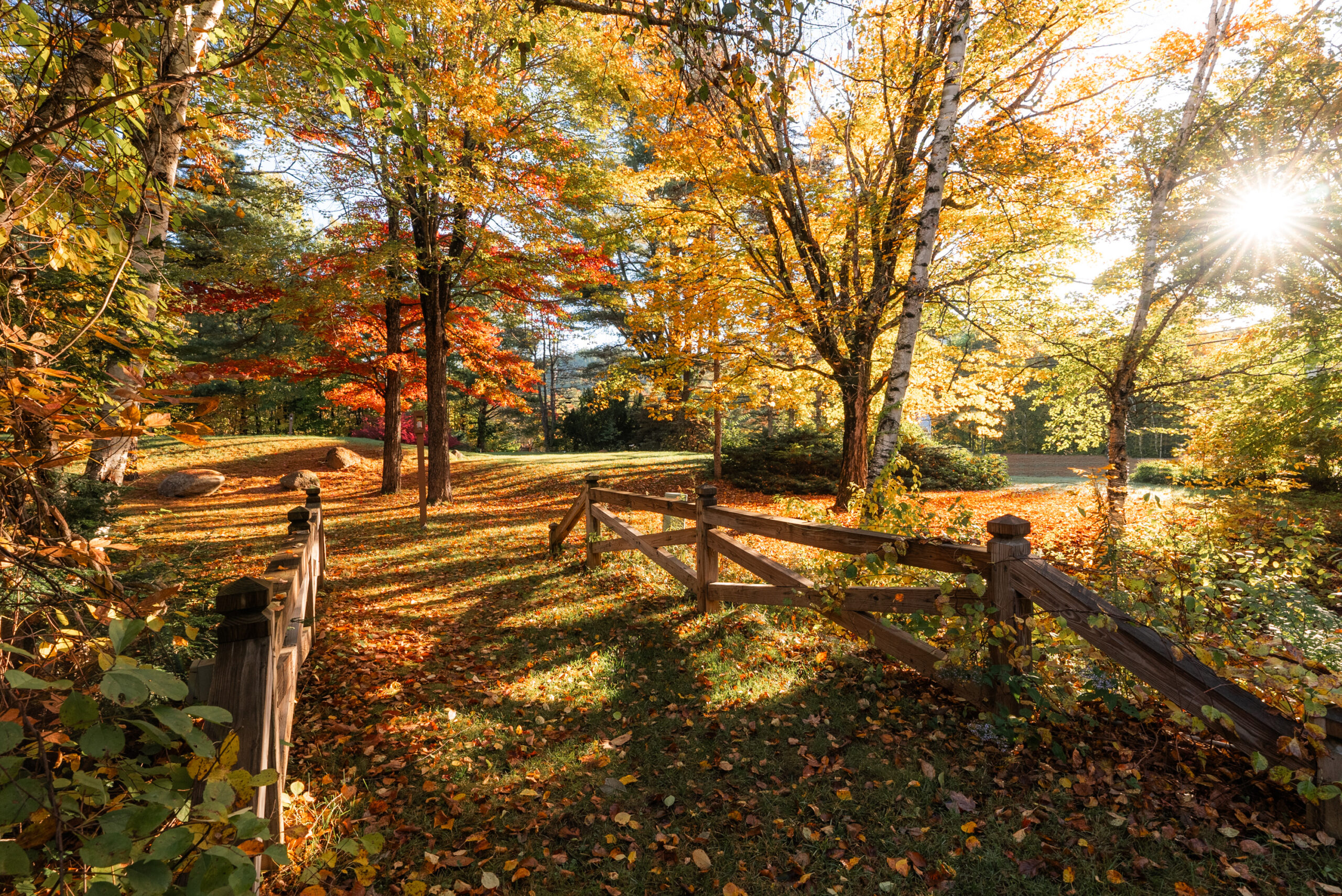 Nordic Village Resort Property during fall