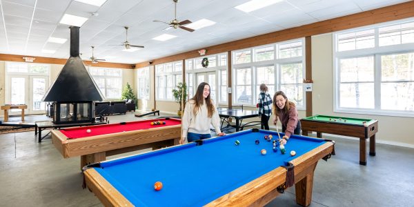 Nordic Village Game room Friends Playing Pool