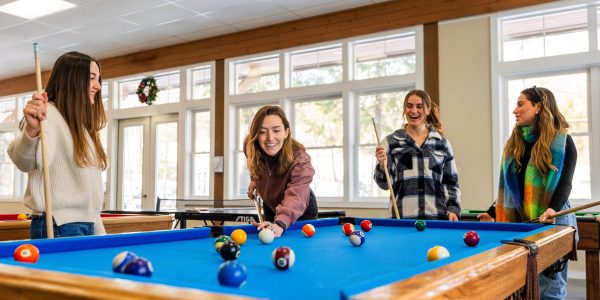 Nordic Village Game room Friends Playing Pool